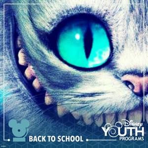 Meet your Posher, Jovanni